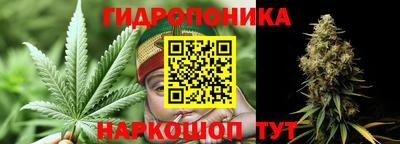 PSILOCYBIN Михайловск