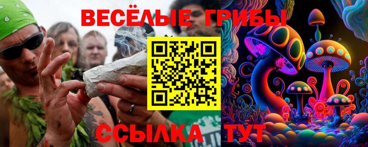 Галлюциногенные грибы мухоморы Таганрог
