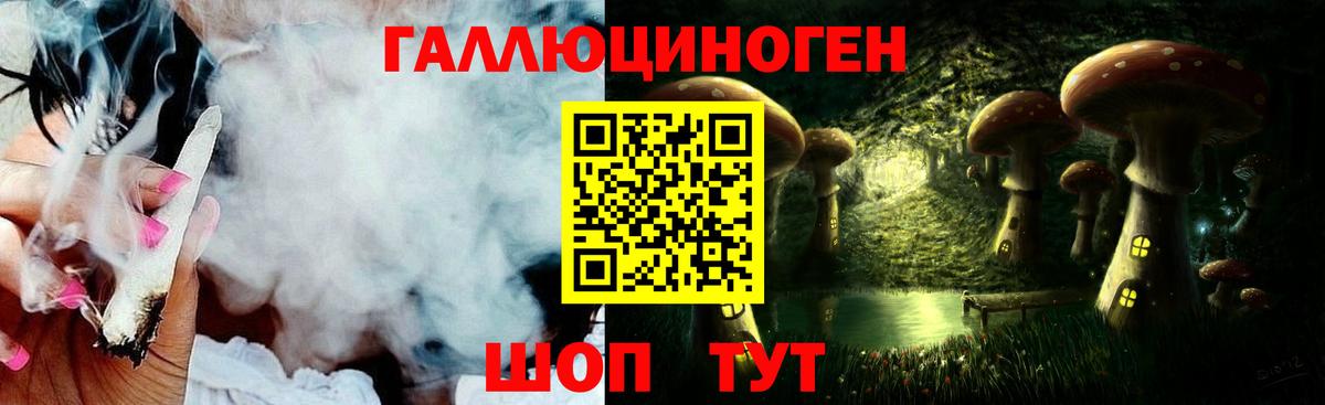 Таганрог  Псилоцибиновые грибы Psilocybe  Вход с VPN 